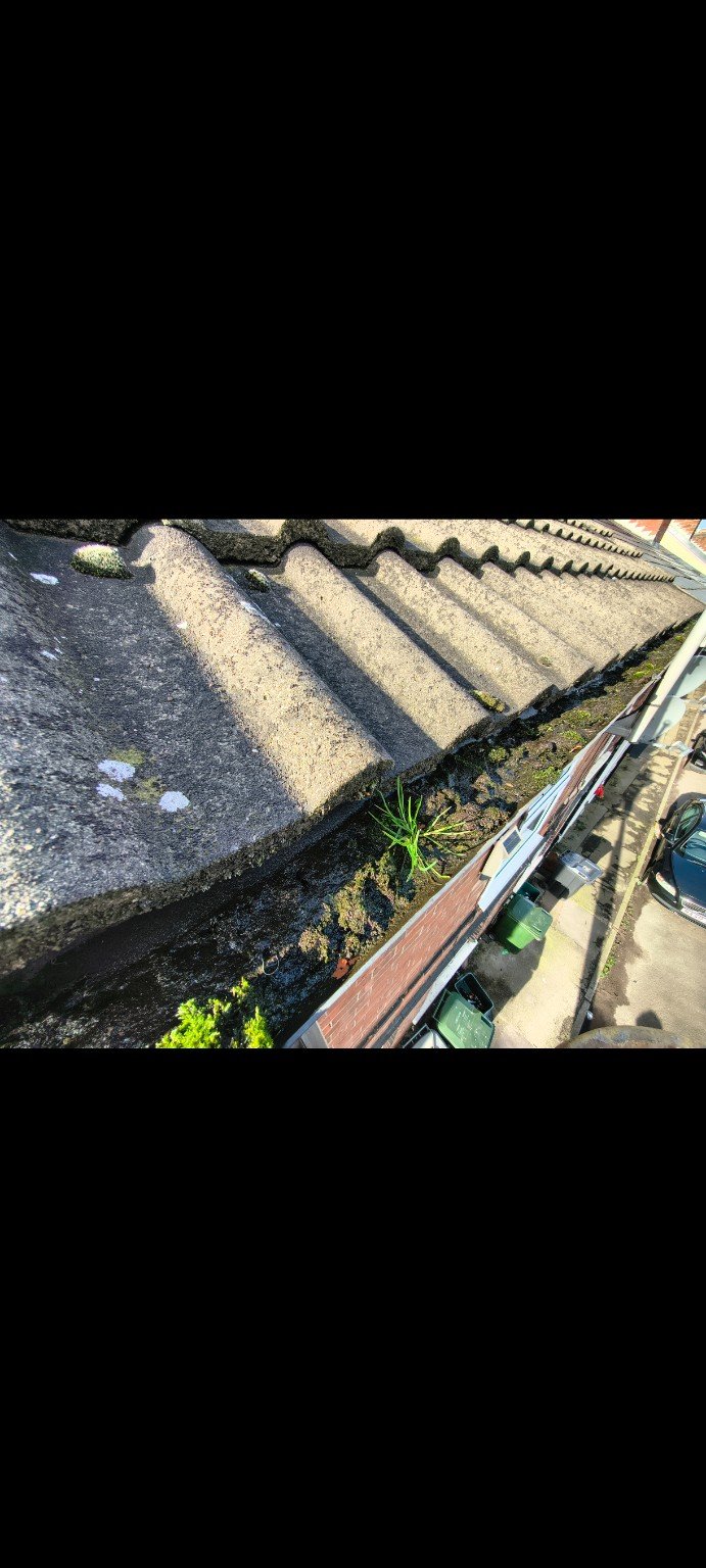 Blocked roof gutter filled with moss before cleaning by RMS