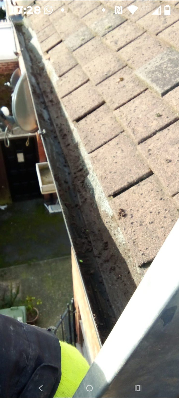 Clean roof gutter after professional debris removal