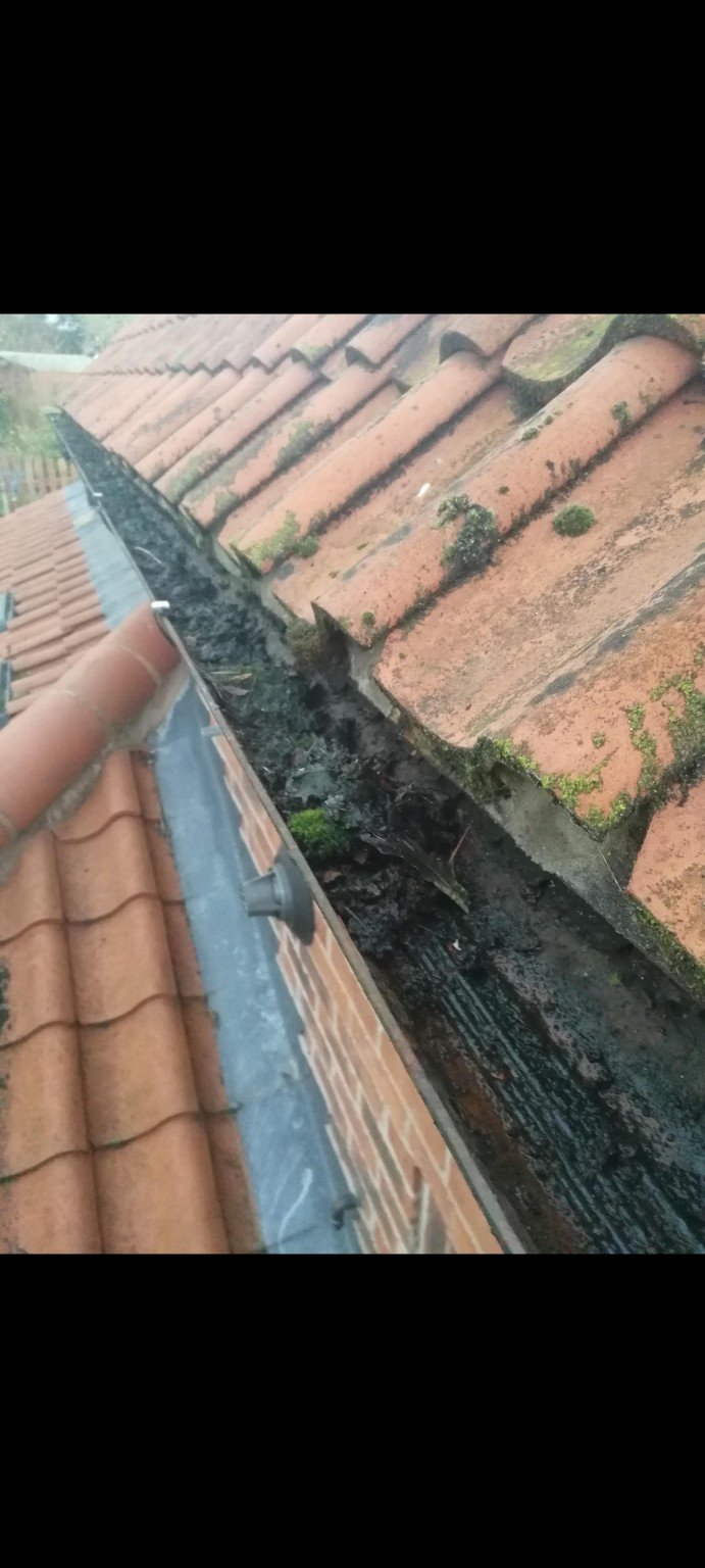 Blocked valley gutter filled with wet leaves and moss before cleaning