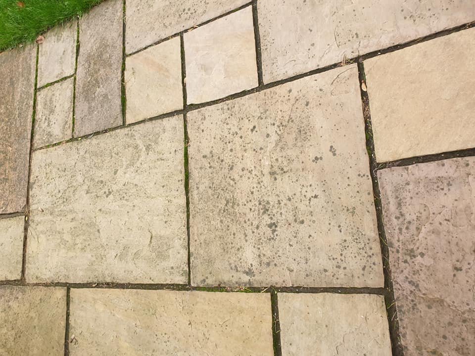 Paving slabs with lichen before RMS cleaning